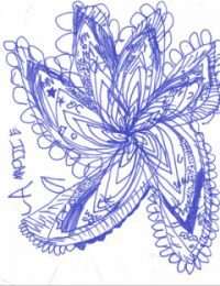 decorative flower drawing picture