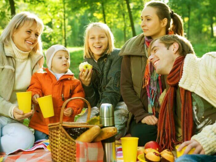 adults with children on a picnic