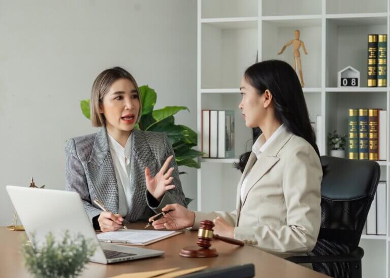 a lawyer talking to her client doing their mid year review