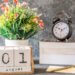 a calendar of august 1st with a plant and a clock